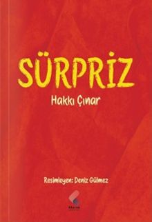 Sürpriz