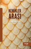 Kemikler Arası