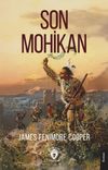 Son Mohikan