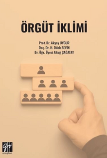 Örgüt İklimi