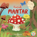 Küçük Mantar  