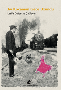 Ay Kocaman Gece Uzundu
