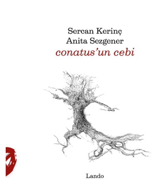 Conatus'un Cebi 