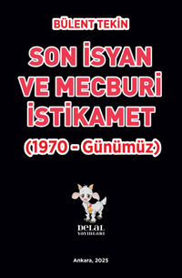 Son İsyan ve Mecburi  İstikamet  (1970 – Günümüz)