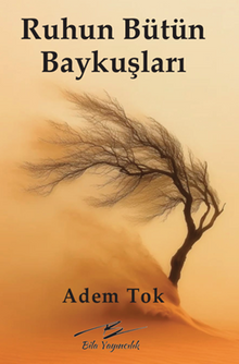 Ruhun Bütün Baykuşları