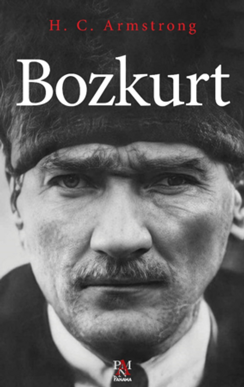 Bozkurt