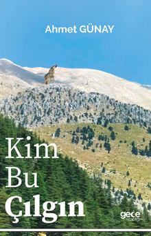 Kim Bu Çılgın