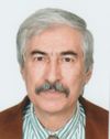  Mahmut Çetin