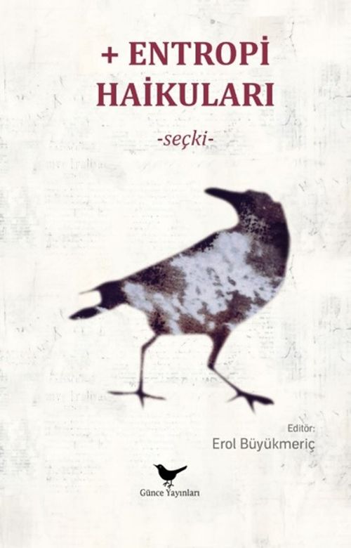Entropi Haikuları