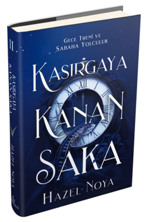 Kasırgaya Kanan Saka 2 (Ciltli)