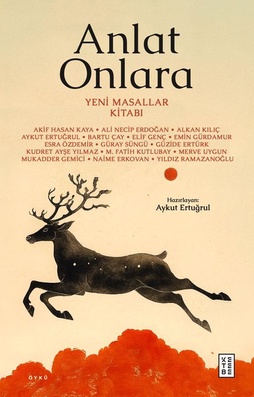 Anlat Onlara & Yeni Masallar Kitabı