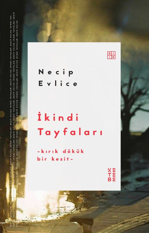 İkindi Tayfaları & Kırık Dökük Bir Kesit