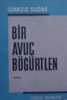 Bir Avuç Böğürtlen 12-G-108