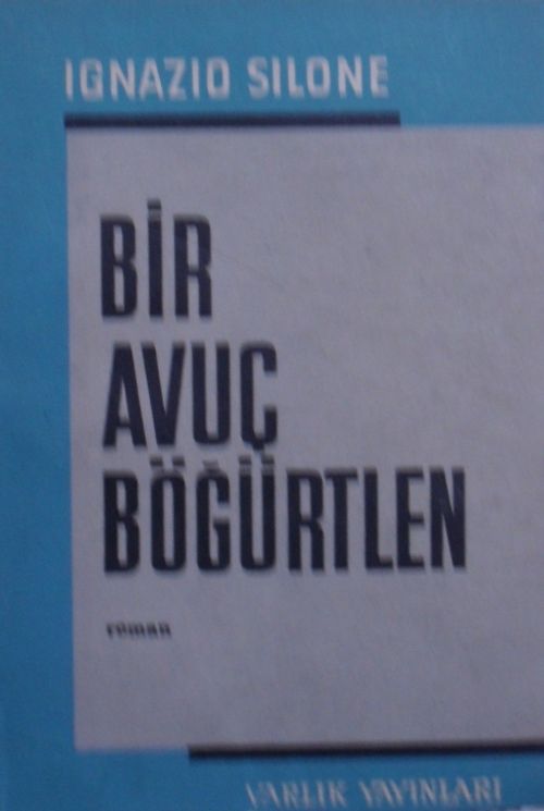 Bir Avuç Böğürtlen 12-G-108