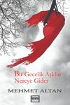 Bir Gecelik Aşklar Nereye Gider