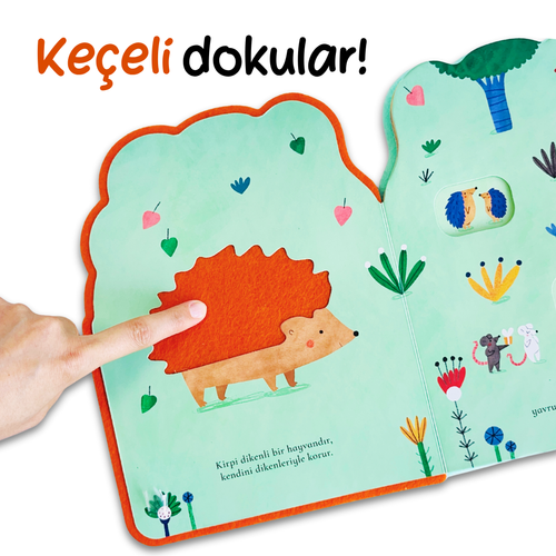 Gördüm Seni / Davranışlarım (Viktoriia Samsonova) Fiyatı