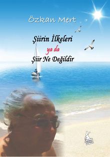 Şiirin İlkeleri ya da Şiir Ne Değildir?
