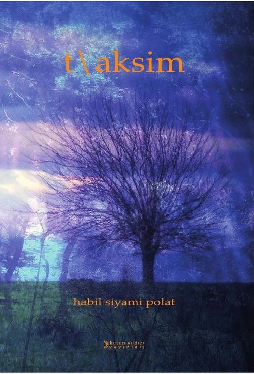T / Aksim