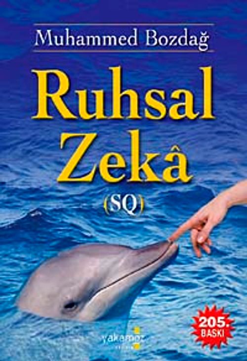 Ruhsal Zeka (SQ)