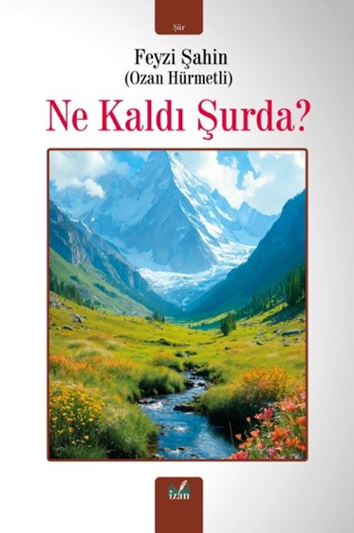 Ne Kaldı Şurda?