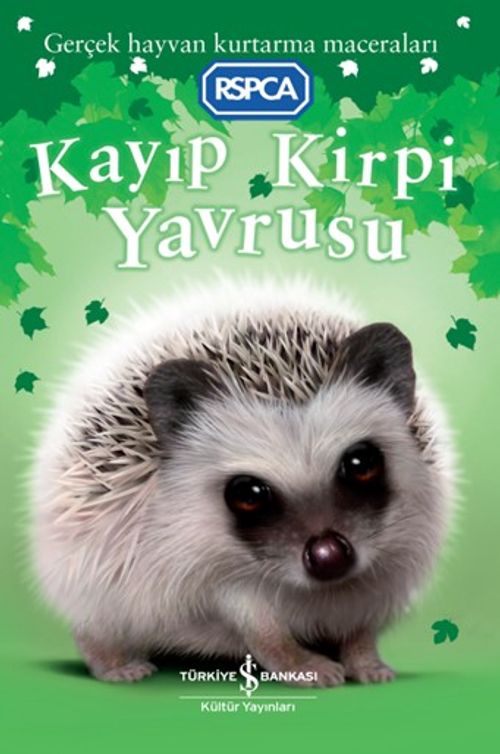 Kayıp Kirpi Yavrusu 