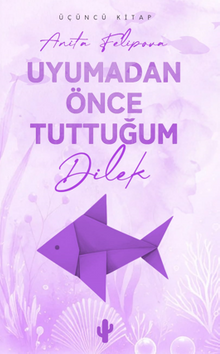 Uyumadan Önce Tuttuğum Dilek 3
