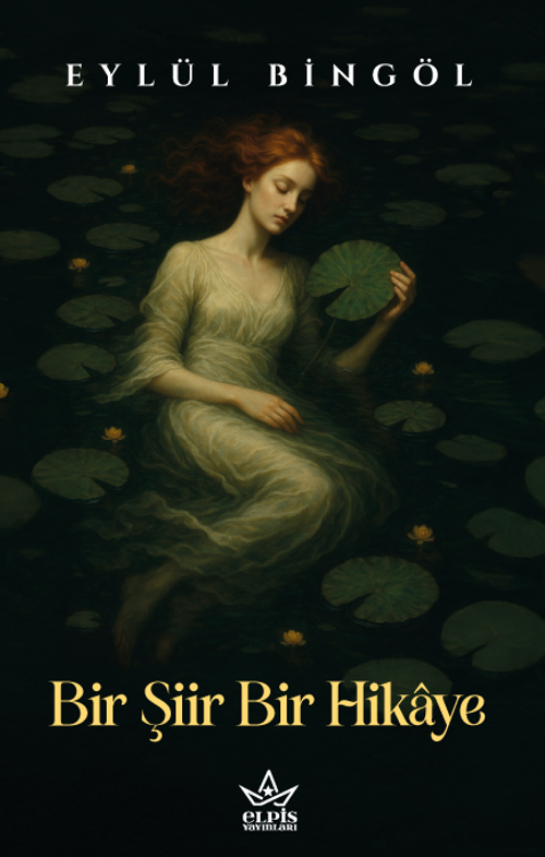 Bir Şiir Bir Hikaye