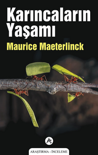 Karıncaların Yaşamı 