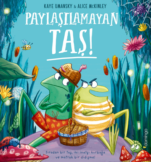 Paylaşılamayan Taş
