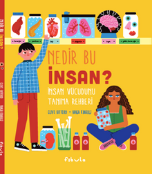 Nedir Bu İnsan? İnsan Vücudunu Tanıma Rehberi