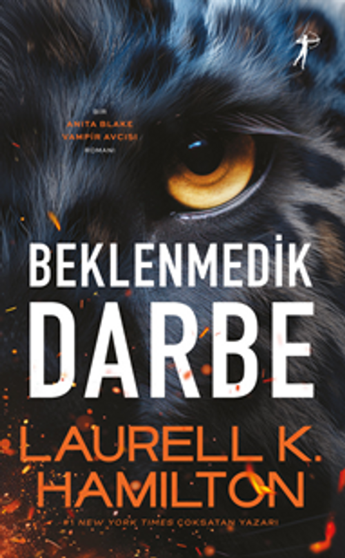 Beklenmedik Darbe
