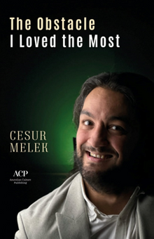  The Obstacle I Loved The Most