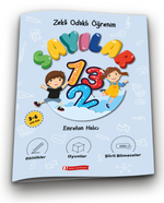 Zeka Odaklı Öğrenim - Sayılar