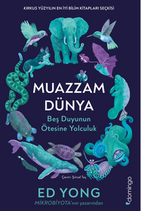 Muazzam Dünya: Beş Duyunun Ötesine Yolculuk
