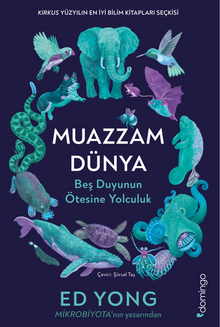 Muazzam Dünya: Beş Duyunun Ötesine Yolculuk