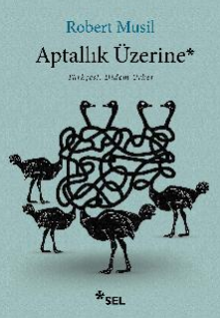 Aptallık Üzerine