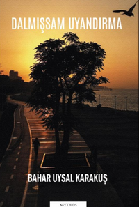 Dalmışsam Uyandırma