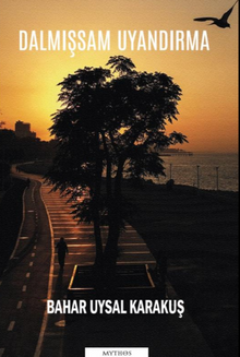 Dalmışsam Uyandırma