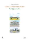 T&uuml;rk Anayasa Hukuku Pratik &Ccedil;alışmaları