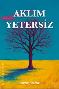 Aklım Yetersiz