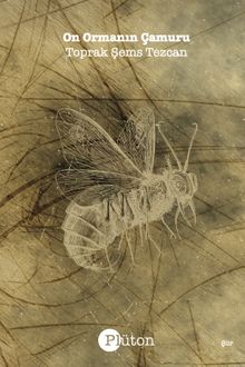 On Ormanın Çamuru