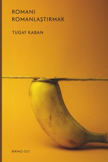 Romanı Romanlaştırmak