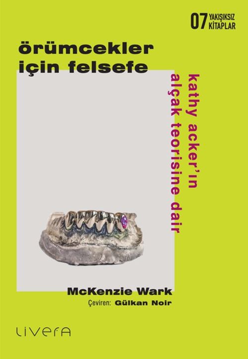 Örümcekler İçin Felsefe: Kathy Acker'ın Alçak Teorisine Dair