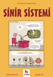 Sinir Sistemi - Gençler İçin Çizgilerle Bilim