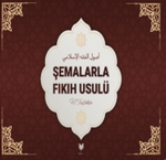 Şemalarla Fıkıh Usulü
