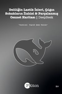 Deliliğin Lastik İzleri, Çılgın Sokakların İlahisi & Parçalanmış Cennet Haritası 