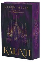 Kalıntı (Karton Kapak)
