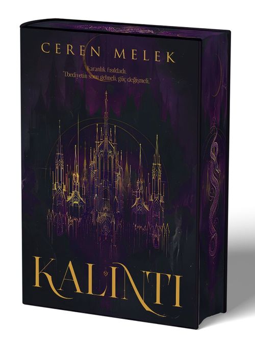 Kalıntı (Ciltli)