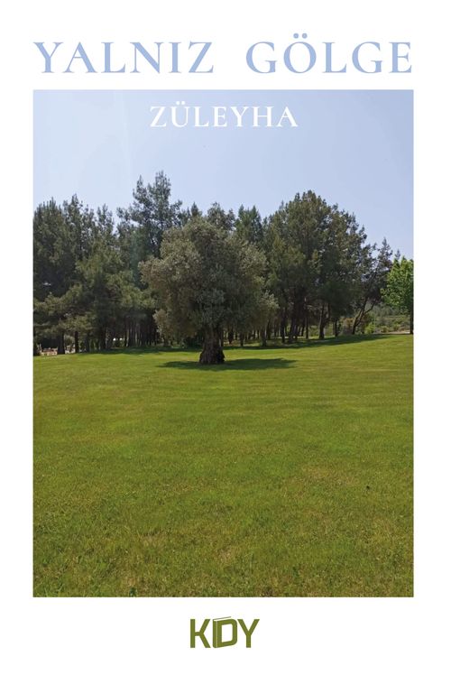 Yalnız Gölge