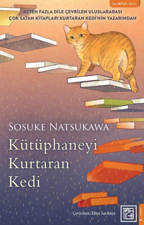 Kütüphaneyi Kurtaran Kedi